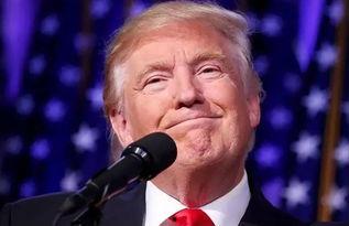 吃瓜蒙主间谍身份解析,间谍身份背后的真相与谜团