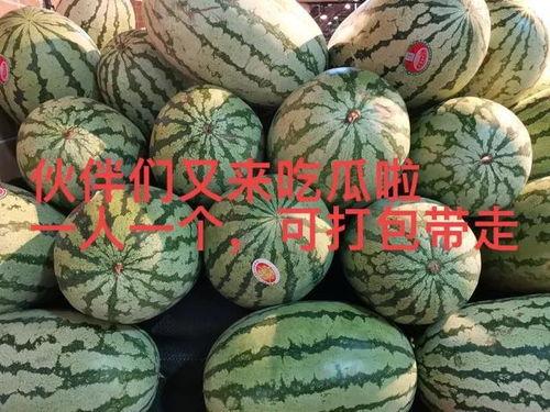 52爆料吃瓜网 热门大瓜往期内容,回顾往期热门大瓜，揭秘娱乐圈幕后真相