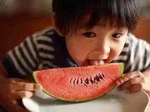 娱乐圈吃瓜影帝 网红热瓜,影帝与网红的激情碰撞，热瓜不断