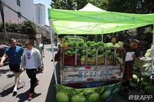 朝阳吃瓜群众最新网站 网红大秋千,朝阳吃瓜群众热议的潮流新宠