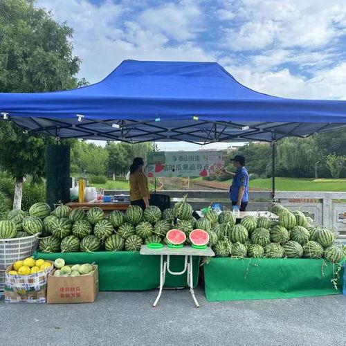 朝阳吃瓜群众最新网站 网红大秋千,朝阳吃瓜群众热议的潮流新宠